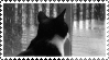 stamps~